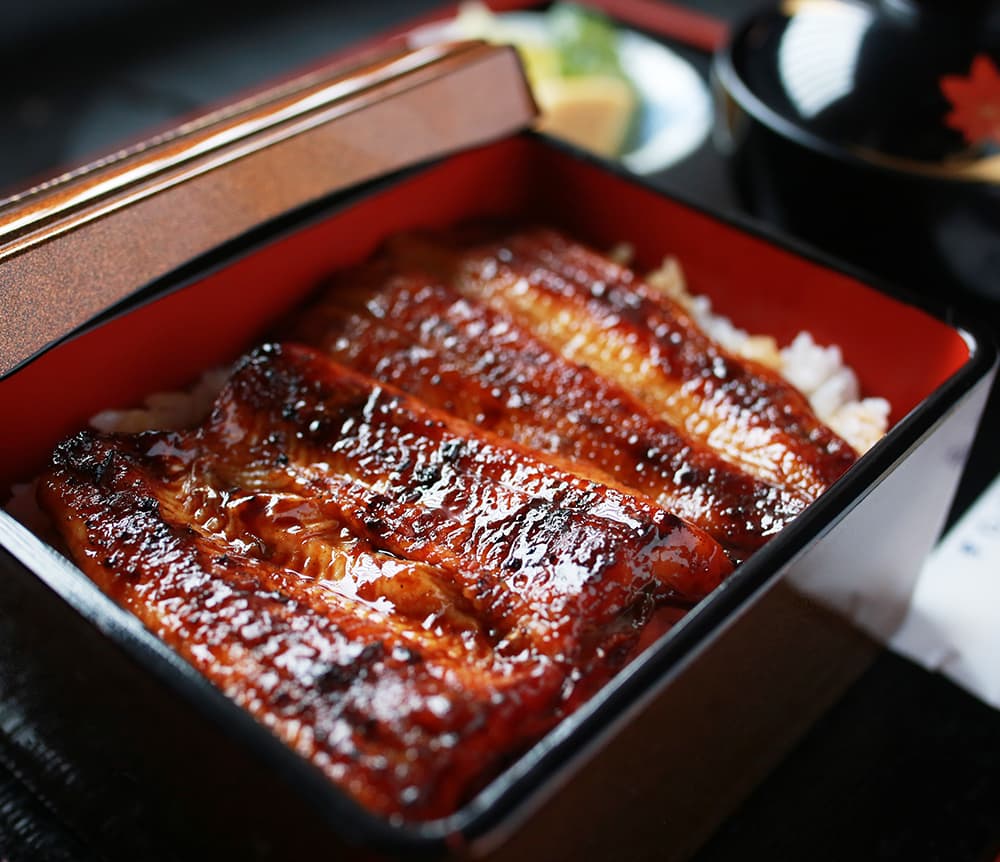 まるかつの鰻重