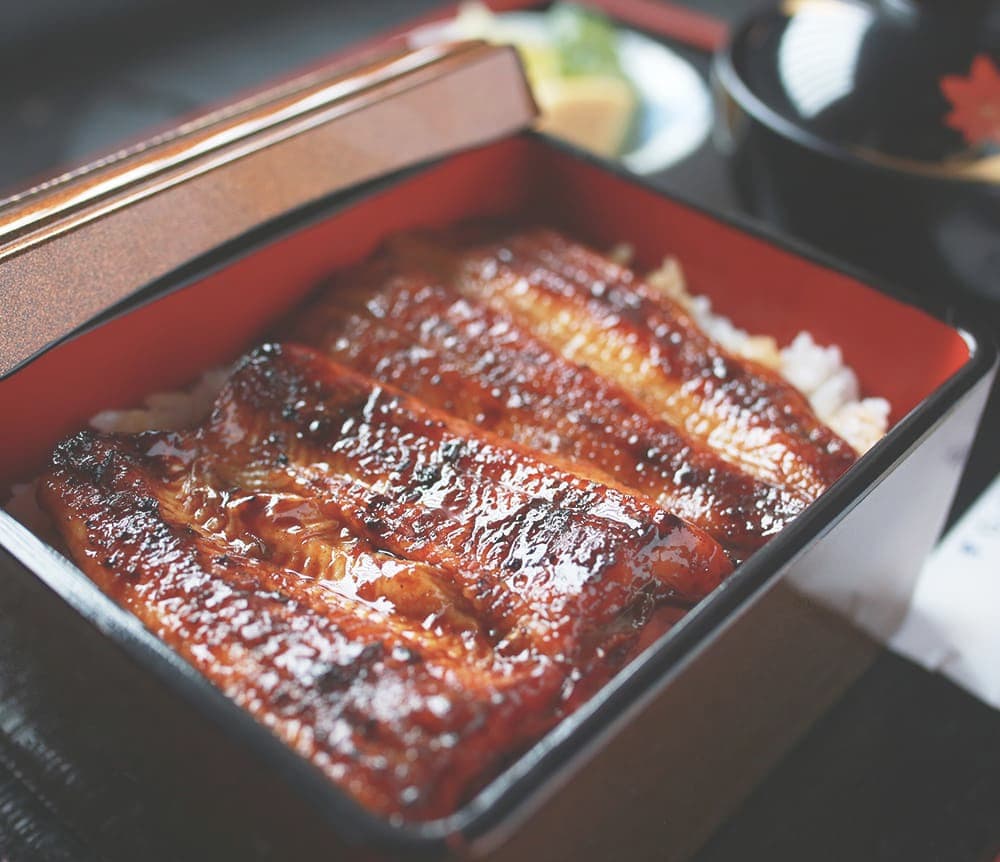 まるかつの鰻重